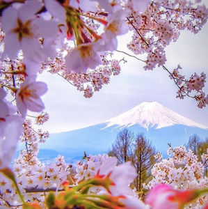 Meet your Posher, Cornel